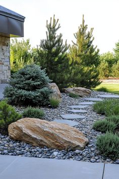 a stone path surrounded by rocks and plants in front of a building with trees on the other side