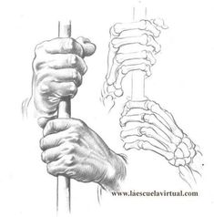 a drawing of two hands holding onto a pole with bones in the back and behind it