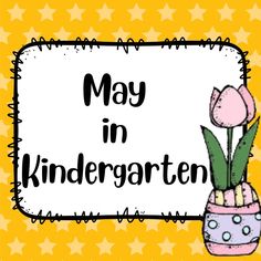 a sign that says may in kindergartsten with a pink tulip and polka dots