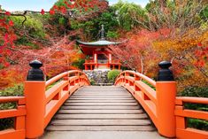 an orange bridge leading to a pagoda surrounded by trees with red leaves in the background