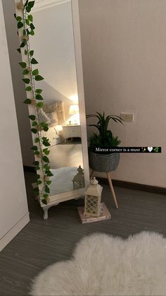 a mirror sitting on top of a wooden floor next to a white rug and potted plant