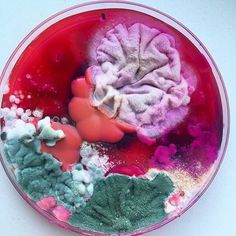 a bowl filled with different colored powders on top of a table