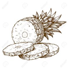 pineapple and sliced sausage on a white background drawing, food illustrations, line art, graphic design, person, clip art, graphics design projects, meats, drawings, sketches, illustration art, vegetables