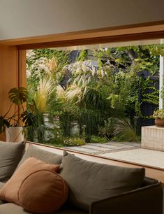 a living room filled with furniture and lots of plants