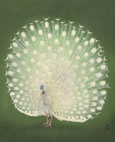 a painting of a white peacock with feathers spread out, on a green background that appears to be in color