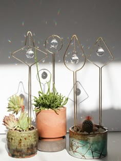 three potted plants sitting next to each other on top of a white countertop