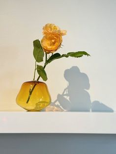 a single yellow rose in a glass vase on a white shelf with shadows from the wall behind it