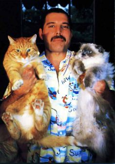 a man holding three cats in his arms and posing for the camera with one cat on his chest