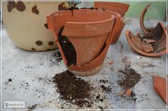 there are many pots with dirt on the ground next to each other and one is broken