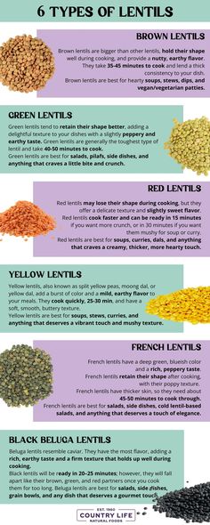 Exploring 6 Types Of Lentils - Their Differences And How To Use Them | Country Life Natural Foods Lentil Health Benefits, Lentils Nutrition, Vegetarian Patty, Lentils Benefits, Pulses Recipes, French Green Lentils, Yellow Lentils, French Lentils, Healthy Pregnancy Tips