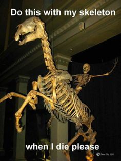 the skeleton of a dinosaur is displayed in a museum