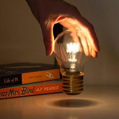 USB Cordless Light Bulb Filament Lamp, Filament Bulb Lighting, Edison Lighting, Love Coupons, Electric Shock, Filament Bulb, No Heat, Led Light Bulbs, Garden Gifts