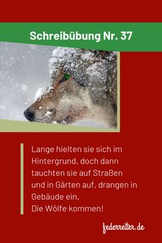 a red and green poster with a wolf in the snow on it's side