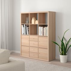 a living room with a couch, bookcase and potted plant on the floor