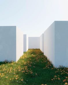 the grass is growing between two white walls with yellow flowers on them in front of a bright blue sky