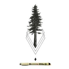 a pencil is next to a drawing of a pine tree