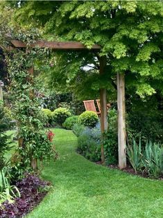 a garden with lots of green plants and flowers on the ground, along with a wooden arbor