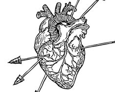 the heart with arrows in it and an arrow pointing at it, vintage line drawing or engraving illustration