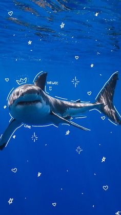 a great white shark swims in the blue water with hearts and stars all over it