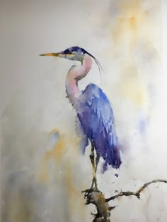 a watercolor painting of a blue heron perched on a branch with yellow and purple colors