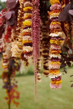 some very pretty flowers hanging from a tree