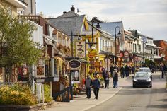 people walking down a street lined with shops