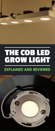 the cob led grow light explain and review