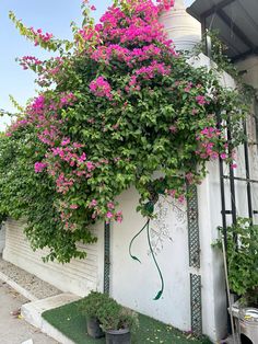 pink flowers are growing on the side of a white building with green trimmings