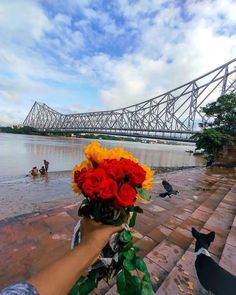 a person holding flowers in front of a body of water with a bridge in the background