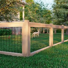 a dog is in the grass behind a fence that's made out of wood and wire