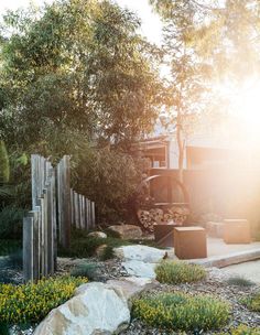 the sun shines brightly through the trees and shrubs in this garden area with rocks, grass, and yellow flowers