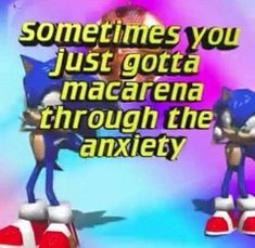 two sonic the hedgehogs standing next to each other with text that reads sometimes you just got a macarena through the