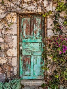 an old door is surrounded by vines and flowers