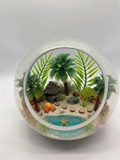 a glass bowl with plants and rocks in the bottom is filled with sand, water and shells