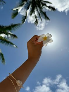 a hand holding a flower in front of the sun with palm trees behind it and blue sky