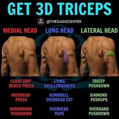 the poster shows how to get 3d triceps