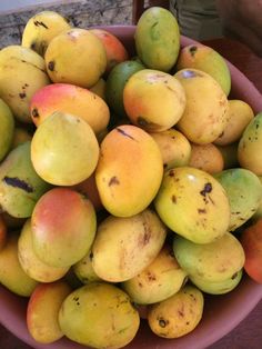 a pink bowl filled with mangoes on top of a wooden table next to a person