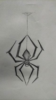 a drawing of a spider hanging upside down