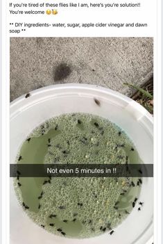 a white bowl filled with green liquid on top of a cement floor