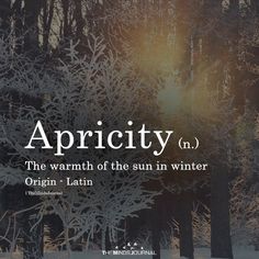 the words apricity are written in front of snow - covered trees and sunlight