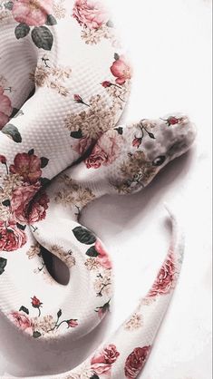 a white snake with pink flowers on it