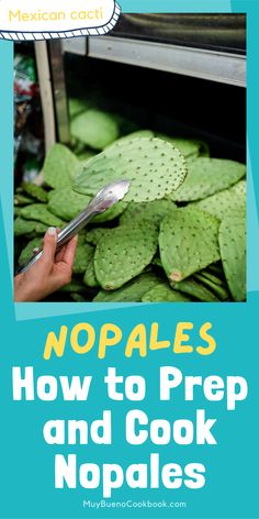 Prep and Cook Nopales on a photo. Nopales Soup Recipe, How To Cook Nopales Recipe, Cactus Leaves Recipe, Mexican Cactus Recipe, Cactus Recipe Mexican, How To Cook Cactus, Cooking Cactus, Cactus Soup