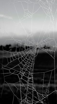 a spider web is hanging from the side of a window in front of a black and white background