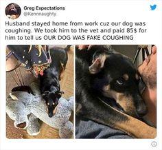 a man laying on the floor next to a dog with a stuffed animal in front of him