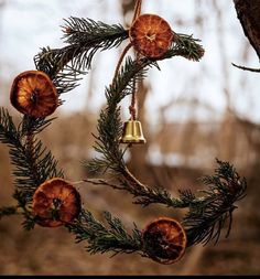 a pine tree with some bells hanging from it's branches