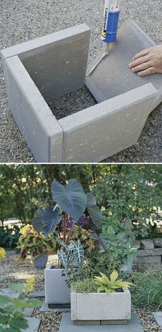 two pictures side by side, one is being used as a planter and the other has