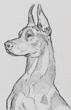 a drawing of a dog with a hat on it's head