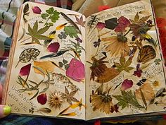 an open book with lots of leaves and flowers on it's pages in someones lap