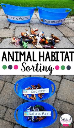 an animal habitat sorting bin with two blue bowls filled with plastic animals and the words animal habitats