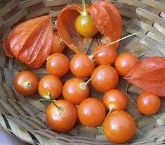 a basket filled with lots of ripe tomatoes next to leafy green leaves on top of a wooden table